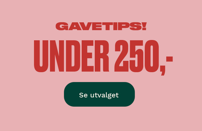 Gaver under 250kr