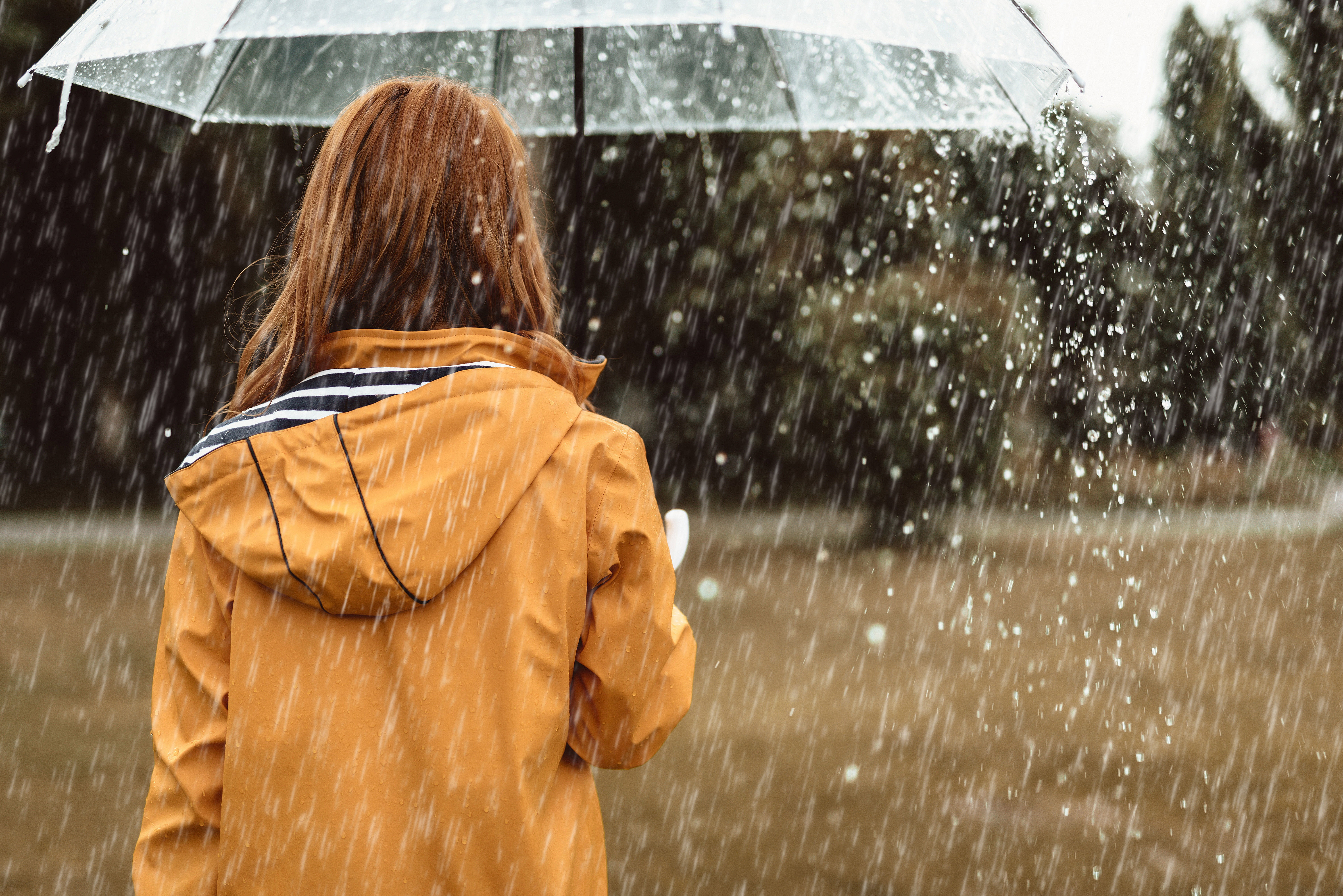 Jente i gul regnjakke som står i regnet under en paraply. Foto